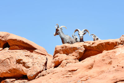 View of rock formation against clear blue sky