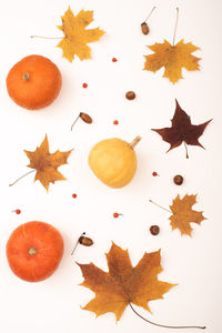 High angle view of orange fruits on leaves