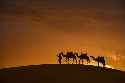 Silhouette horses on field against sky during sunset