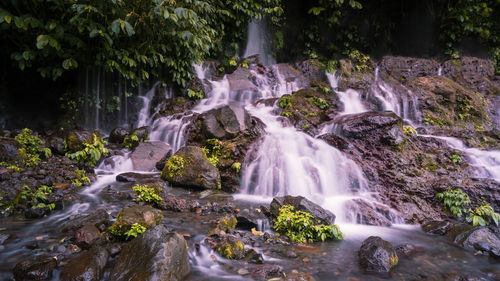 Waterfall in forest