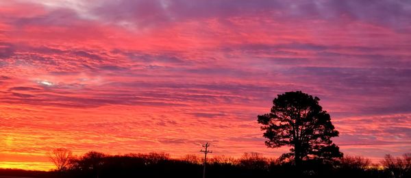 Low angle view of silhouette trees against dramatic sky