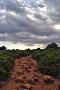 Scenic view of landscape against sky