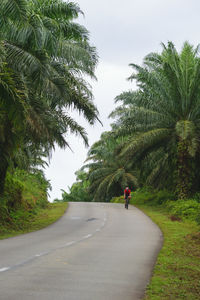 Man on road amidst trees against sky