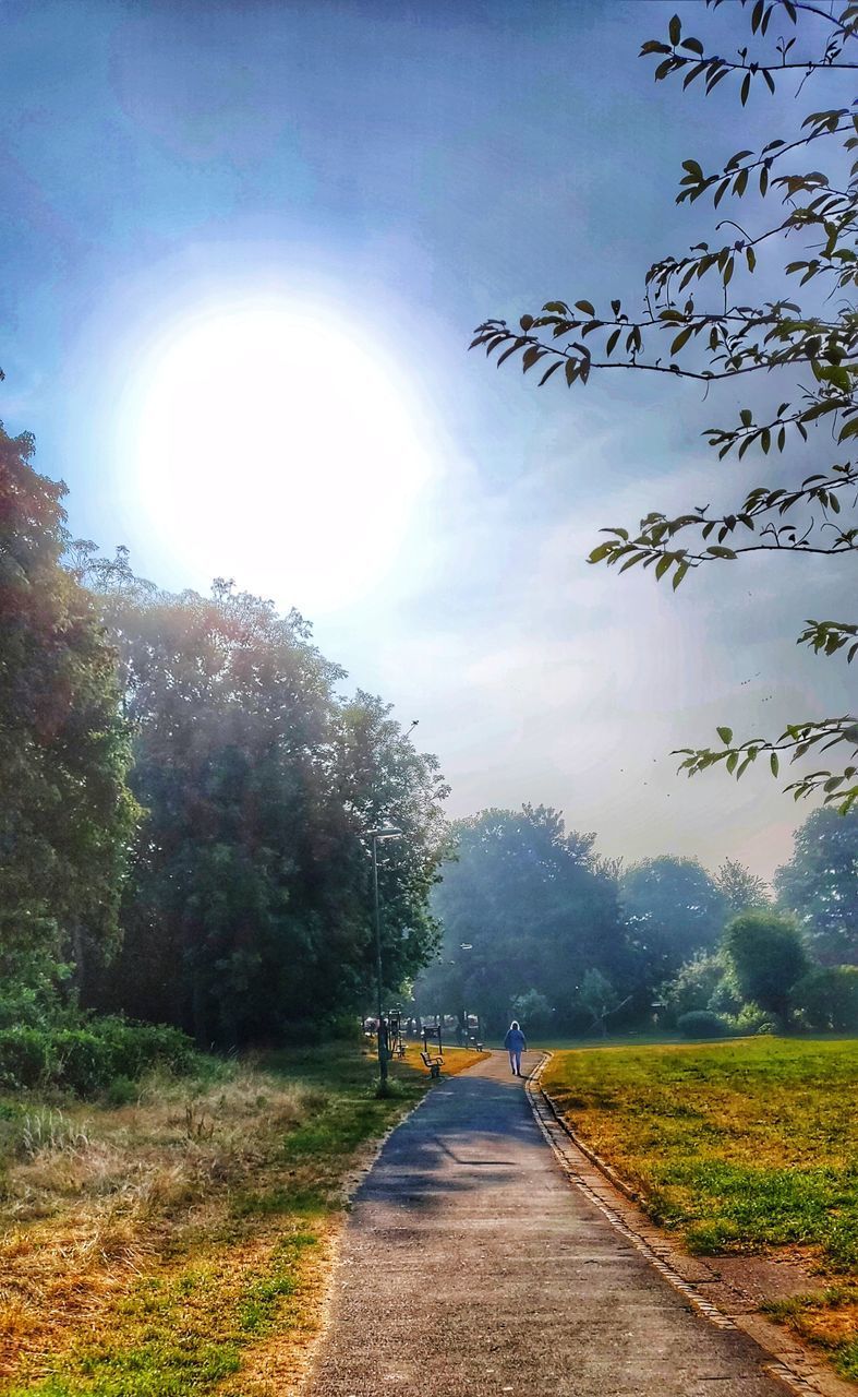 ROAD AMIDST TREES AGAINST BRIGHT SUN