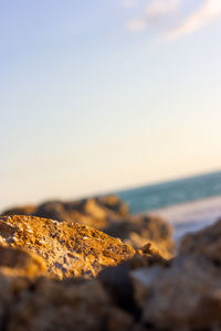 Surface level of rocks on beach against sky