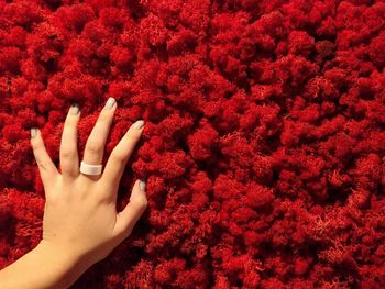 Cropped hand of woman touching red coral