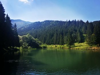 Scenic view of lake by trees against sky