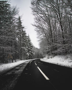 Empty road along bare trees in winter