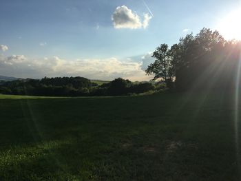 Trees on field against sky