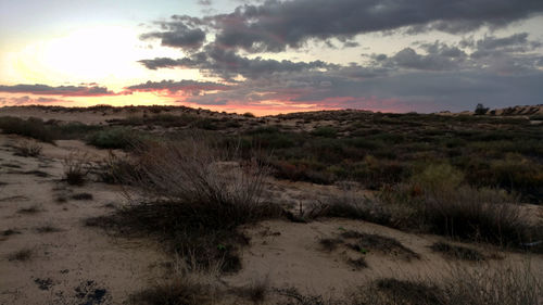 Scenic view of landscape against sky during sunset