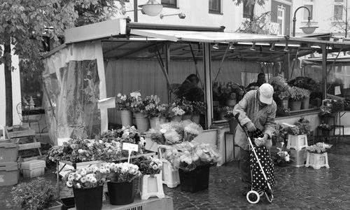 Flowers for sale in market