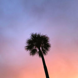 Low angle view of silhouette coconut palm tree against romantic sky