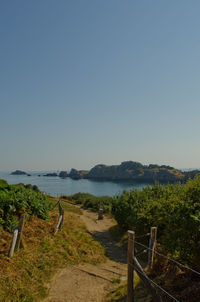 Scenic view of landscape against clear sky
