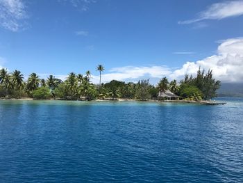 Scenic view of sea against blue sky