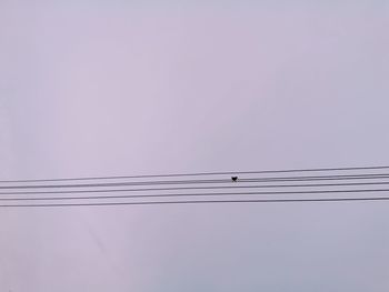 Low angle view of cables against clear sky