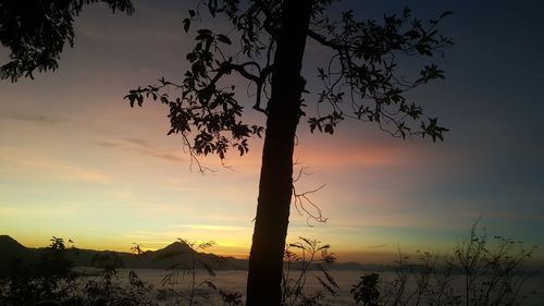 Silhouette tree against sky during sunset