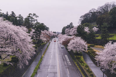 Road amidst trees against sky