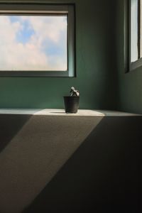 Close-up of potted plant by window at home