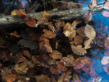 Full frame shot of stack of firewood