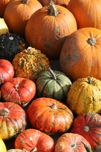 Full frame shot of pumpkins