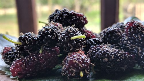 Close-up of fruits on table