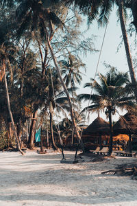 Palm trees on beach against sky