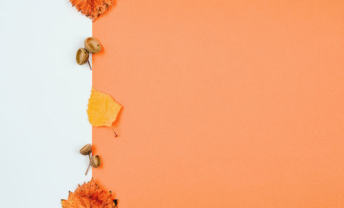 Low angle view of decoration hanging against orange wall