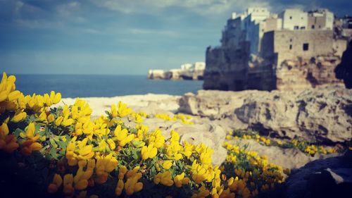 Scenic view of sea and rocks against sky