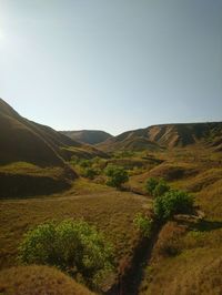 Scenic view of landscape against clear sky