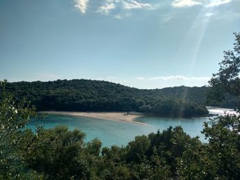 Scenic view of lake by trees against sky