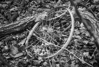 High angle view of field