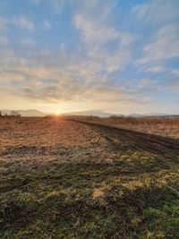 Scenic view of field against sky during sunset