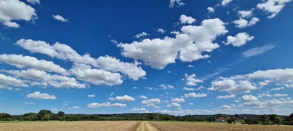 Scenic view of agricultural field against sky