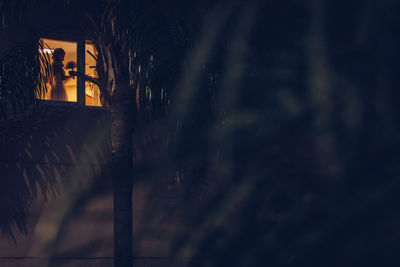 Illuminated street by building at night