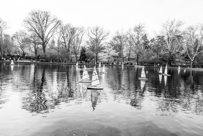View of birds in lake