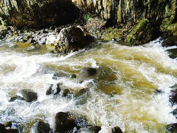 Scenic view of waterfall