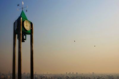 Low angle view of birds flying over buildings in city