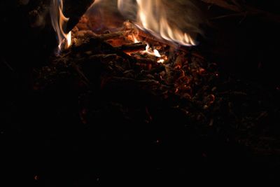 Close-up of bonfire