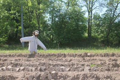 Scarecrow on agricultural field against plants and trees