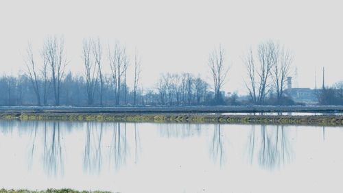 Reflection of bare trees in lake against sky