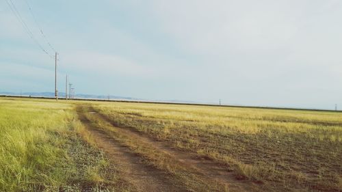 Scenic view of field against sky