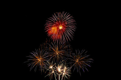 Low angle view of firework display against sky at night