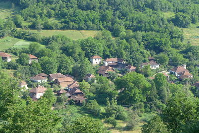 High angle view of trees and houses in village