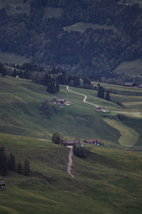 Scenic view of agricultural field