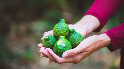 Close-up of man holding food