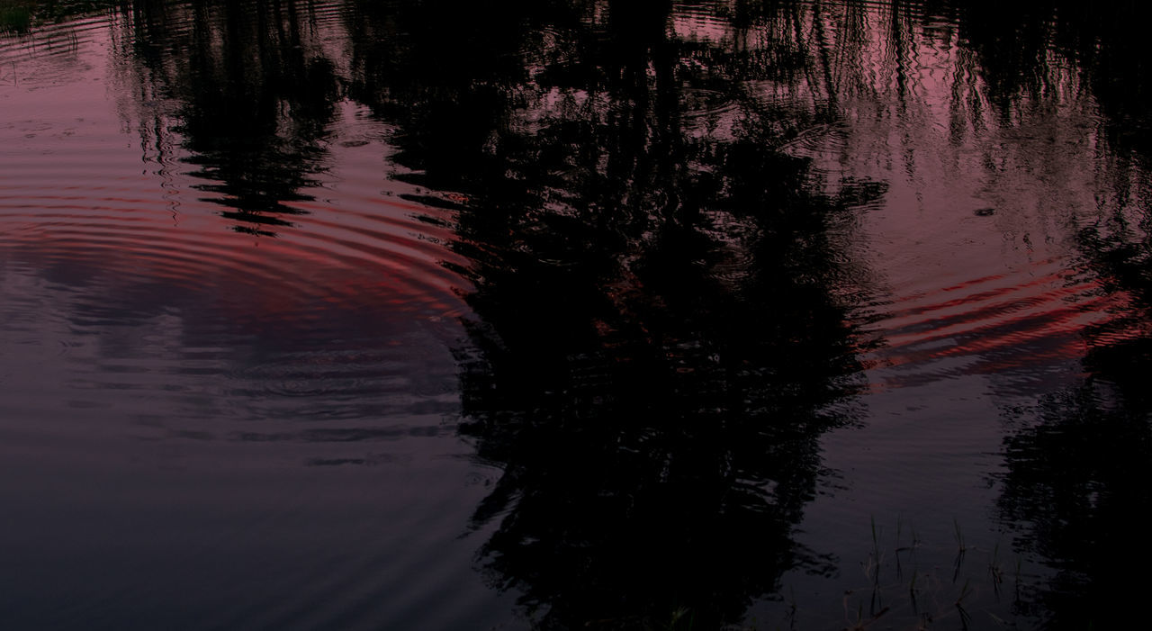 reflection, water, darkness, lake, tree, nature, evening, sunset, no people, plant, tranquility, beauty in nature, rippled, sunlight, light, tranquil scene, outdoors, dawn, waterfront, silhouette, scenics - nature