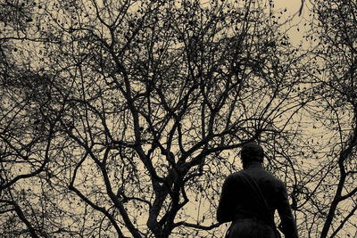 Rear view of silhouette man standing on tree