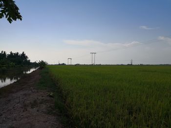 Scenic view of field against sky