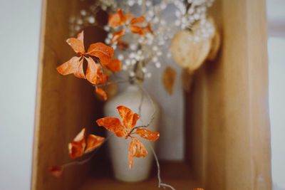 Close-up of orange flower in vase