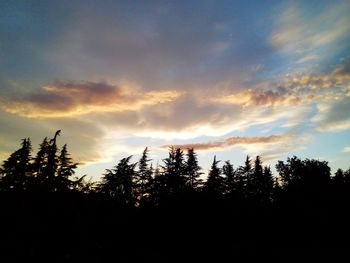 Silhouette trees against sky during sunset